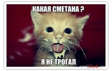 Трябва ли да дадете на млечни продукти, котешки