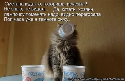 Трябва ли да дадете на млечни продукти, котешки