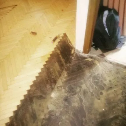 Обработка на ламината след година, година и ламиниран паркет в Москва