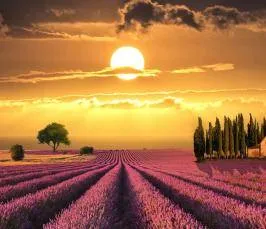 От каква форма вълни