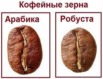 Разликите между Арабика и Робуста