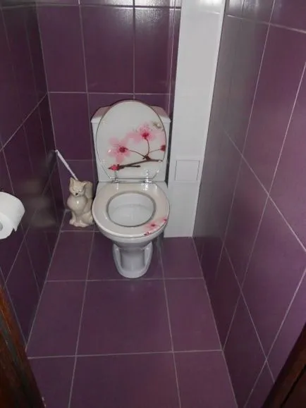 Обзавеждане на банята в инструкциите за апартамент видео за това как да се украсяват свои ръце, толкова по-добри, снимки
