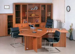 Отговорност на учредителите, режисьори и участниците LLC