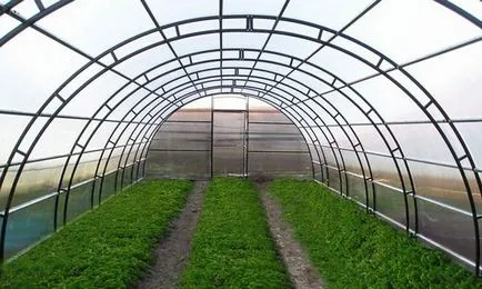 Greenhouse на оформените тръби двуизмерни чертежи, на парникови къща със собствените си ръце, проект на proftruby