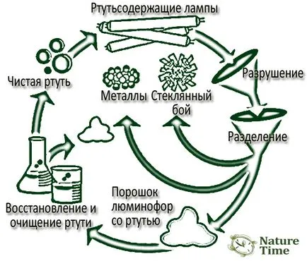 Събиране и изхвърляне на лампи съдържащи живак