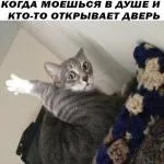 Защо понякога толкова тъжно в сърцето става като всичко хубаво в живота