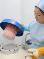 Защо не настъпи бременност, ако има овулация