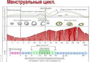 Защо отиде месечни момичета и как те трае