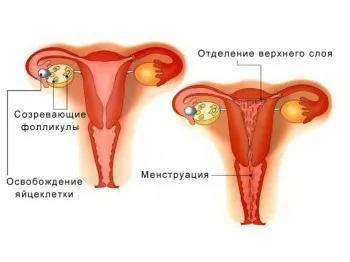 Защо излизам на кръвни съсиреци по време на менструация
