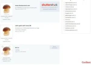 Търсене по изображение, изображения, снимки в Yandex и Google