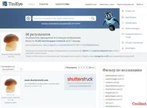 Търсене по изображение, изображения, снимки в Yandex и Google