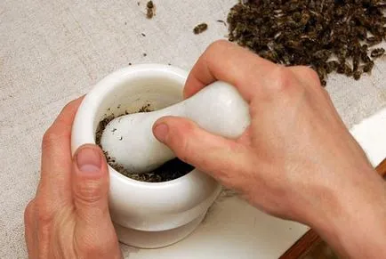 Podmore пчели - как да се използва настойка от водка, лечебни свойства и употребата на алкохол