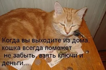 Използването на котки