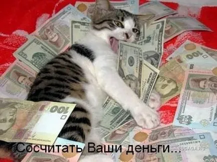 Използването на котки