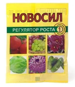Засаждане домати Ganichkina