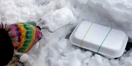 Засаждане на семена от домати разсад - особено обучение видео