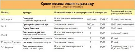 Засаждане на семена от домати разсад - най-добрите начини за овладяване класа (засаждане) Засаждане на семена от домати разсад - най-добрите начини за майсторски класове