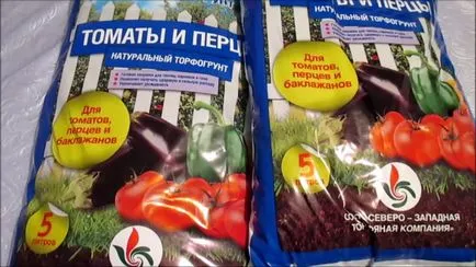 Засаждане семена на доматен разсад - най-добрите начини за майсторски класове (домати) Засаждане на семена от домати разсад - най-добрите начини за майсторски класове