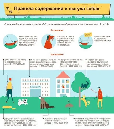Правила куче ходене 1