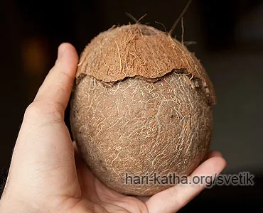 Hogyan tisztítható a kókusz
