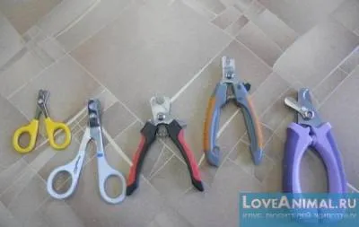 Hogyan lehet csökkenteni nyúl