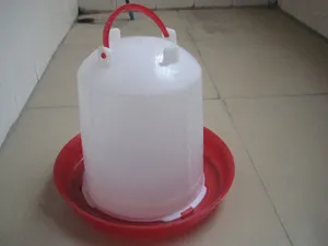 Ne keresztül a csirkék a kezüket