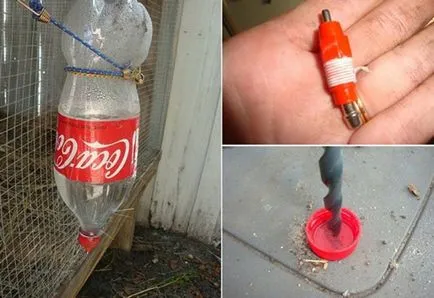 Ne keresztül a csirkék a kezüket