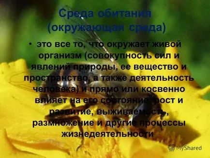 Представяне на местообитание (околна среда) е всичко, което заобикаля живия организъм