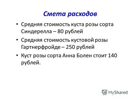 Представяне на проекта - цветна леха - 7а клас