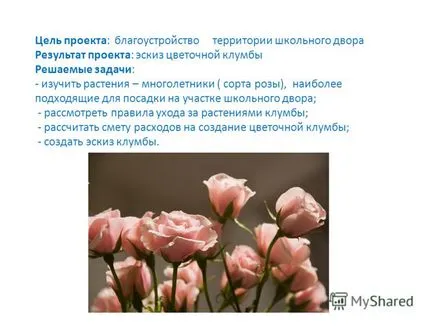 Представяне на проекта - цветна леха - 7а клас