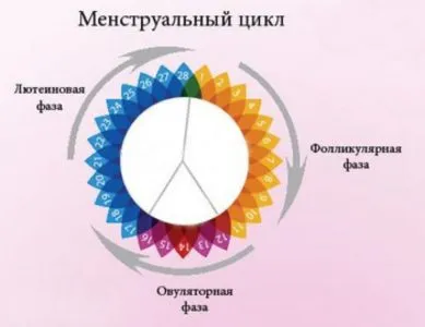 Пъпки преди менструация причини