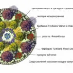 Хребети ръцете си картина цветова схема за билата
