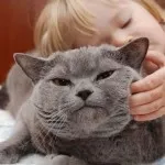 Разговор с котка