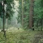 Възпроизвеждането изяде cherenkamihvoynye
