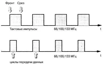 Сортове ФСБ автобусни