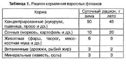 Фазан разплод в детайлите и снимките, домашно видео!