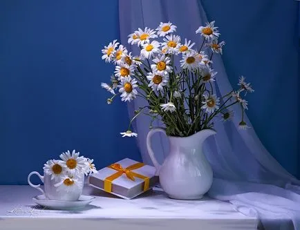 Маргаритки - повечето летни цветя
