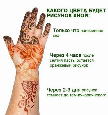 Къна на ръцете (миниатюри) за начинаещи, снимки