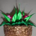 Руската хижа 
