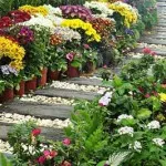 Градински пътеки от дърво 100 красиви снимки