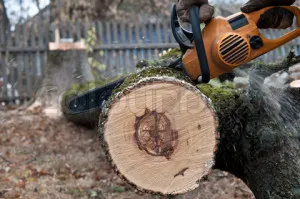 Градински пътеки от дърво с ръцете си снимки и видеоклипове! (Wood) Градински пътеки от дърво с ръцете си снимки и видеоклипове!