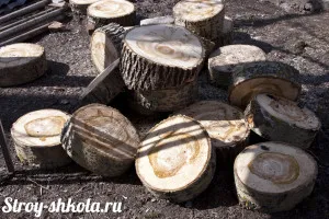 Градински пътеки от дърво с ръцете си снимки и видеоклипове! (Им) Градински пътеки от дърво с ръцете си снимки и видеоклипове!
