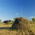 Най-приятното миризмата на хората, аз (миризми) Най-приятното миризмата на човек,