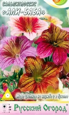 Salpiglossis - отглеждане на семена, кога да засадят разсад