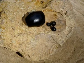 Mik az előnyei a múmia