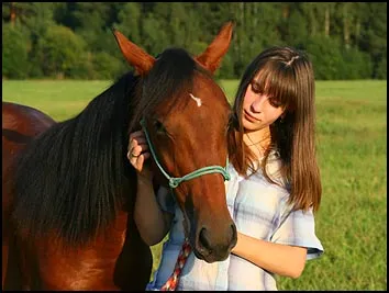 Hogyan értsük meg a ló