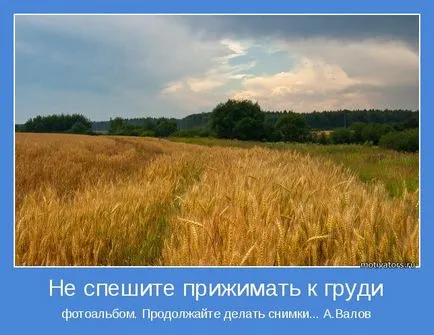 Képek, amelyeken emelik a hangulatot Képek, amelyeken emelik a hangulatot