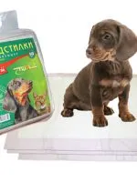 Кучето кашля, като че ли се задави