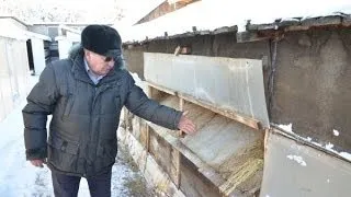 Поддръжка и грижи за зайците у дома