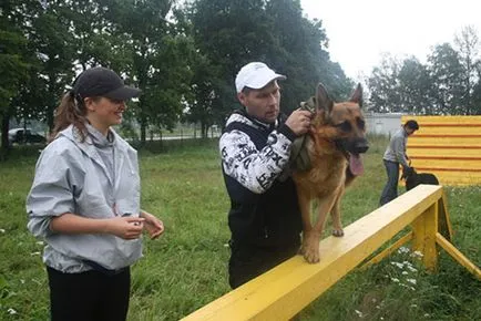 Кучето напада човека, който е виновен и какво да правя